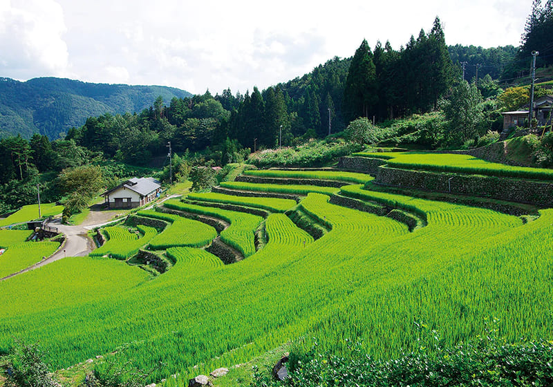 檮原町