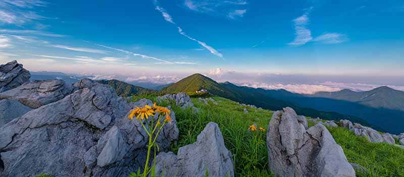 津野町