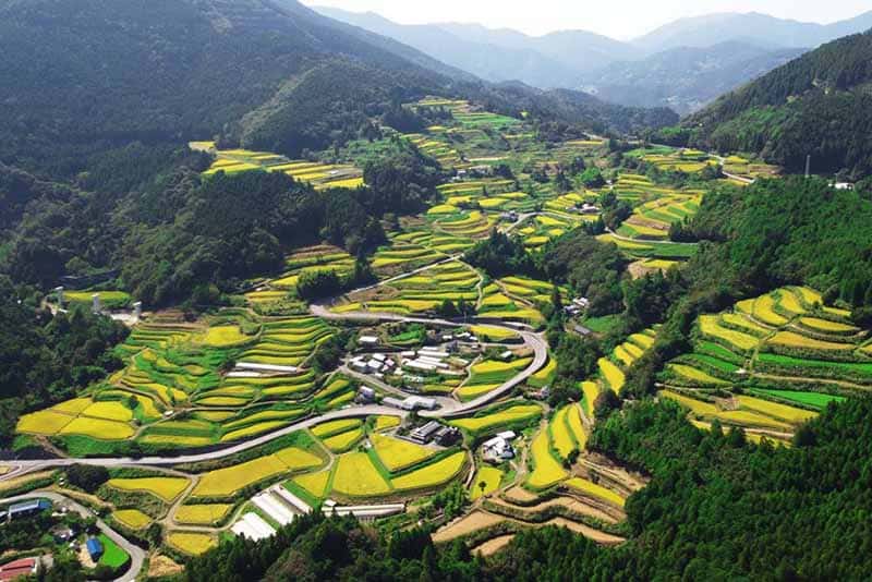 土佐町