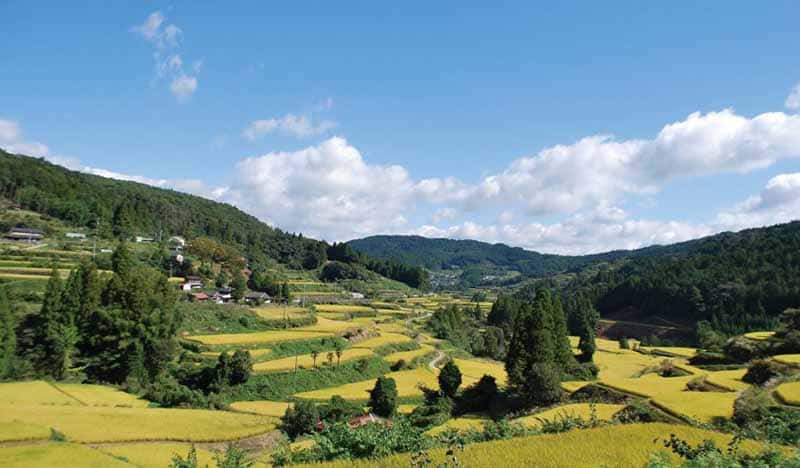 本山町