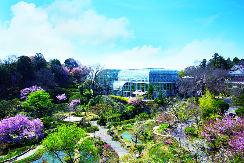 高知県立牧野植物園
