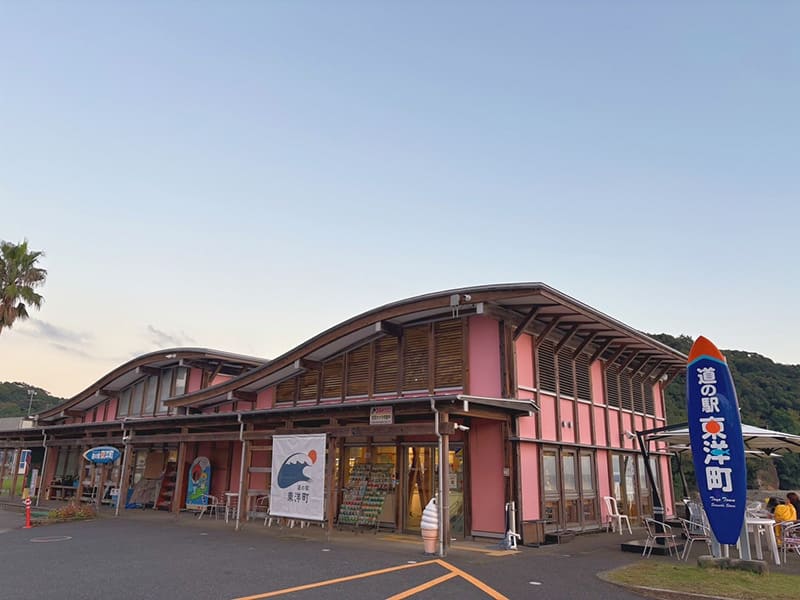東洋町