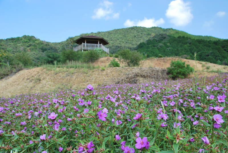 三原村