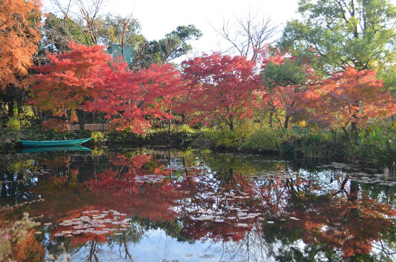 北川村「モネの庭」マルモッタン