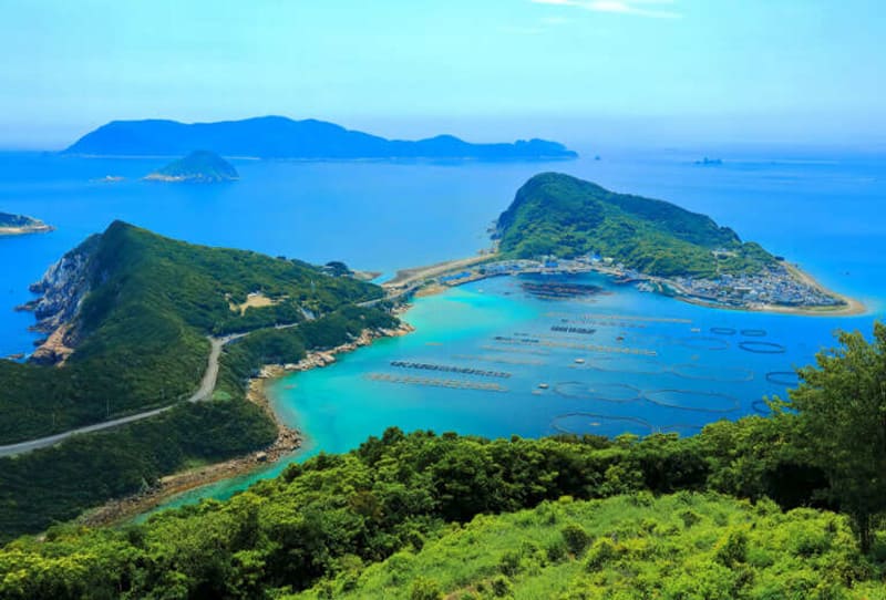 大月町