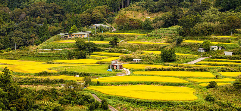 大豊町