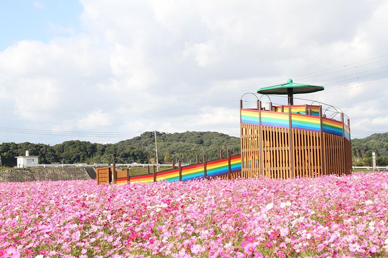 เมืองโอโตะ