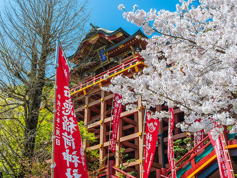 佐賀県
