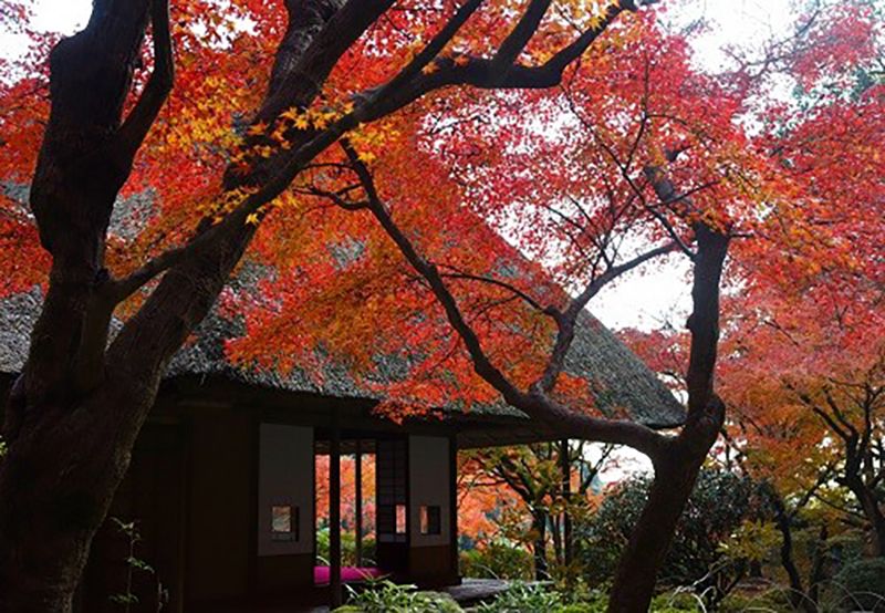 神埼市