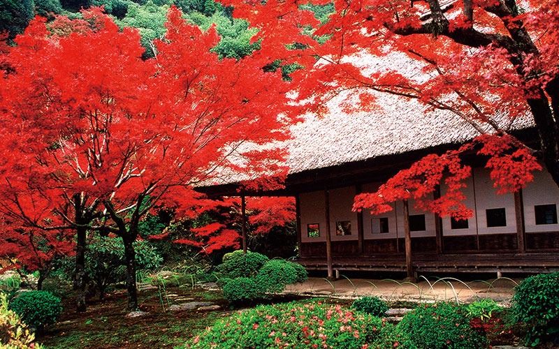 河内大山祇神社
