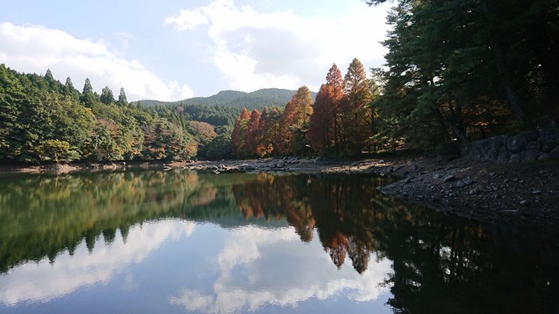 広川原湖畔の森キャンプ場