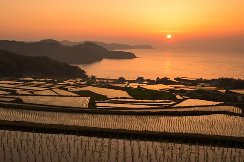 駄竹の棚田(入野の棚田)