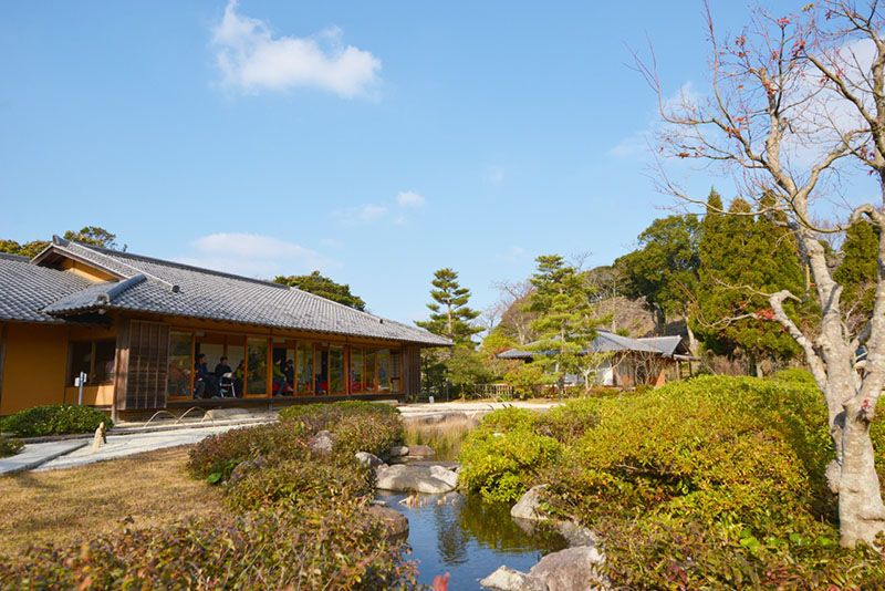 茶苑海月