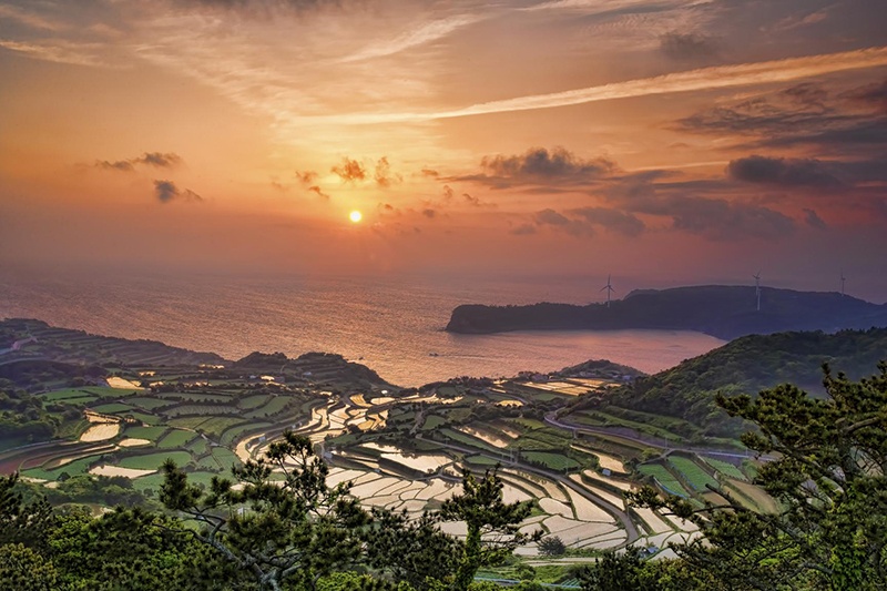 的山大島