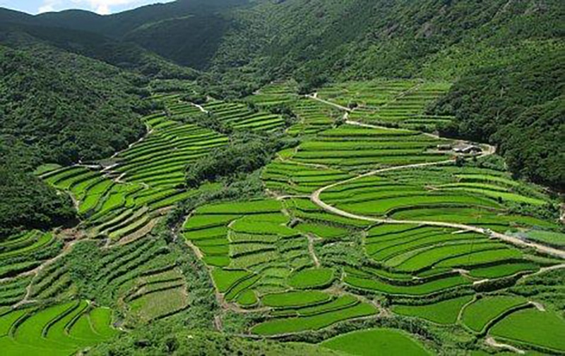 平戸集落