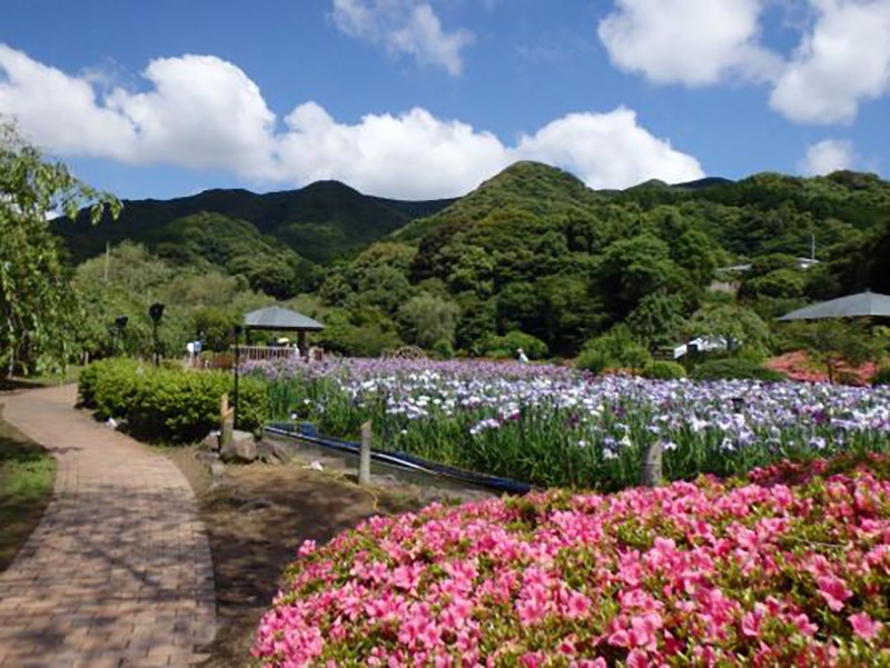 佐々町
