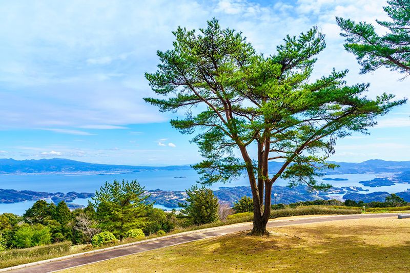 琴海赤水公園
