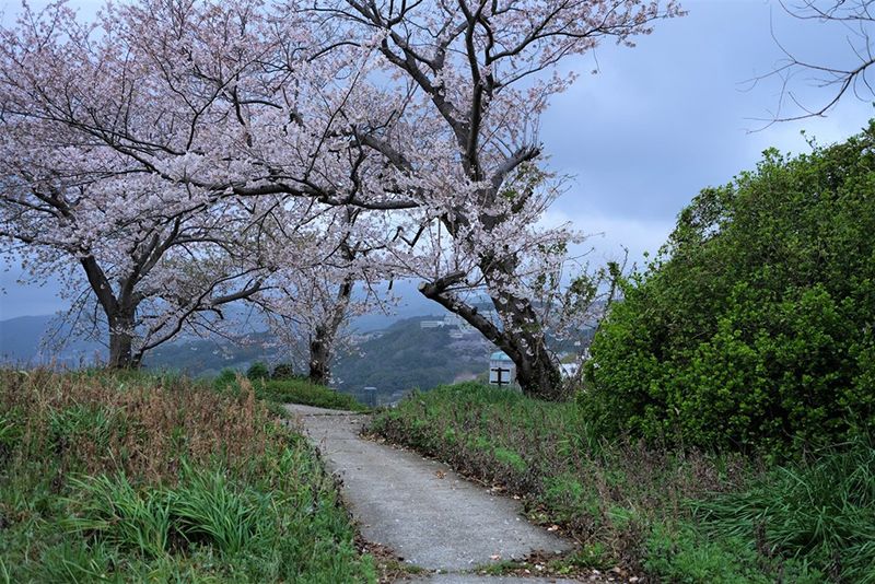 どんの山公園
