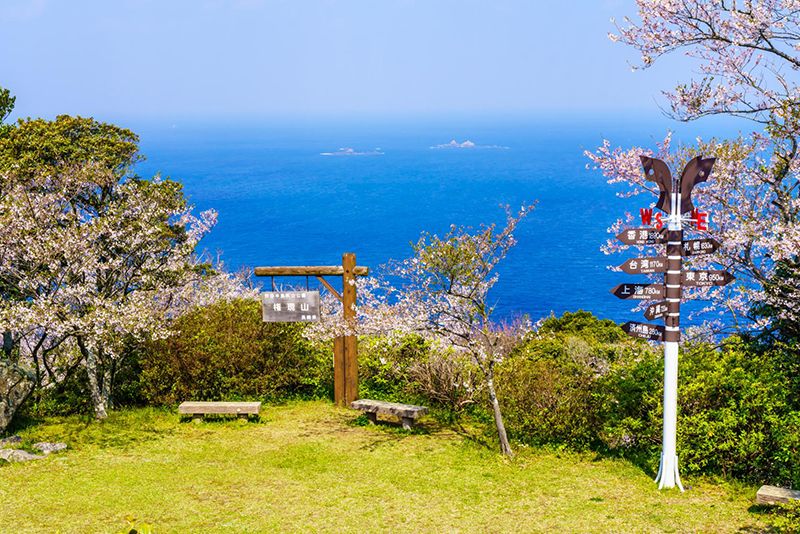 権現山展望公園