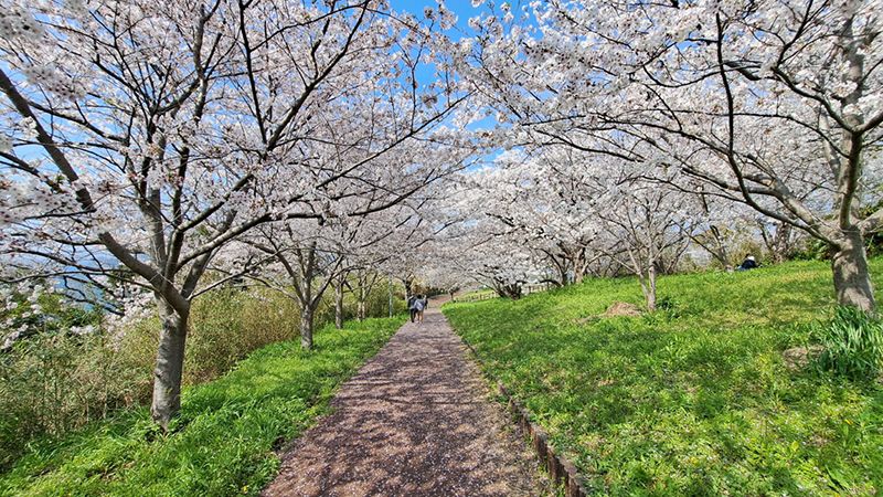 神の島公園
