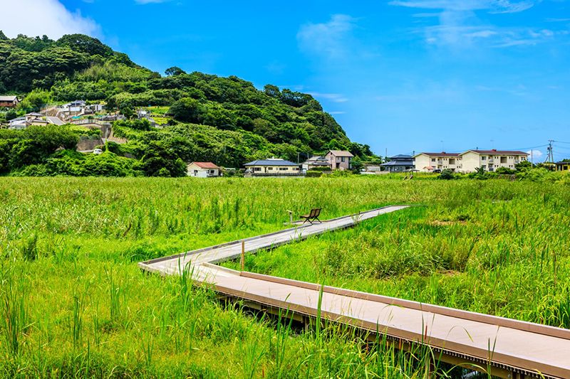 黒崎永田湿地自然公園