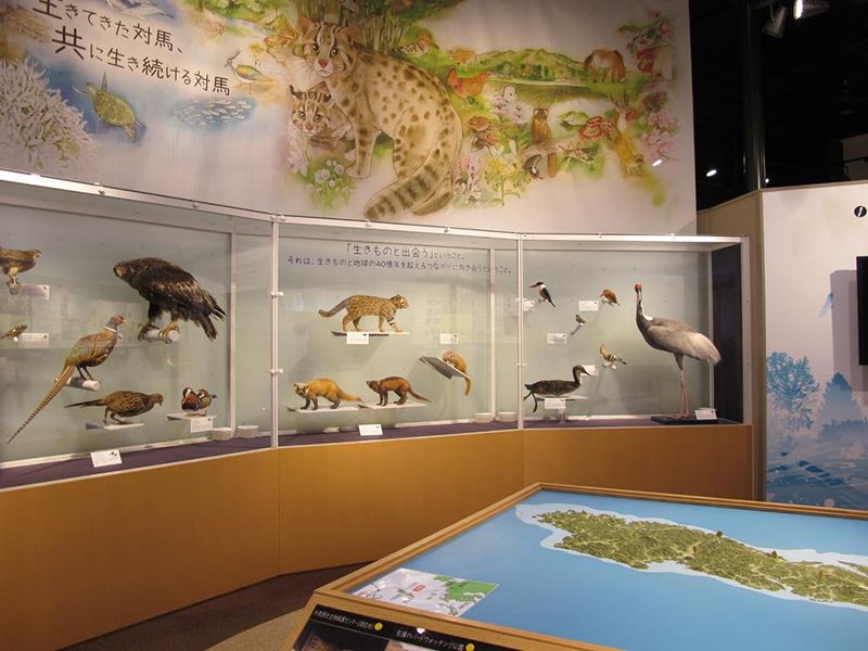 対馬野生生物保護センター
