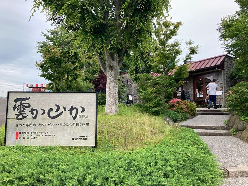 운젠 버섯 본포