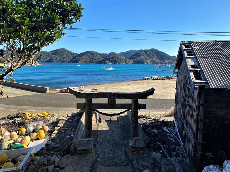 有福島