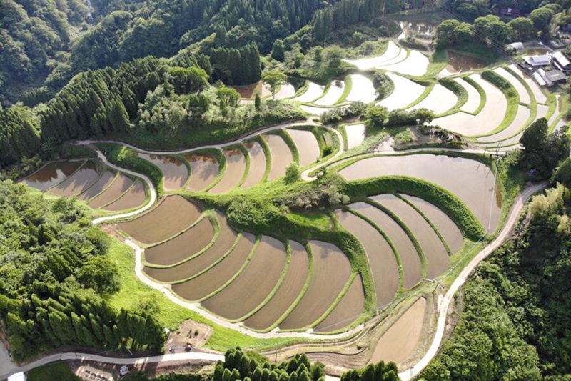 菅山の棚田
