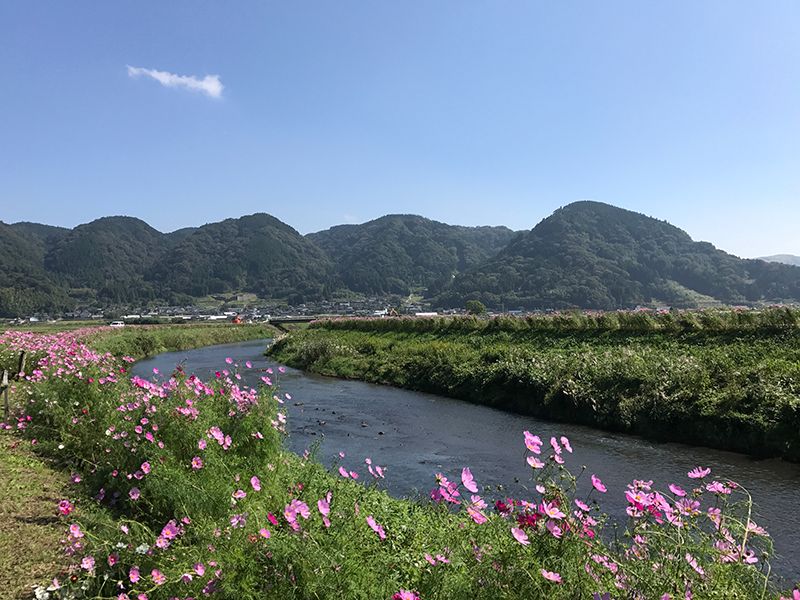 おごもり花公園