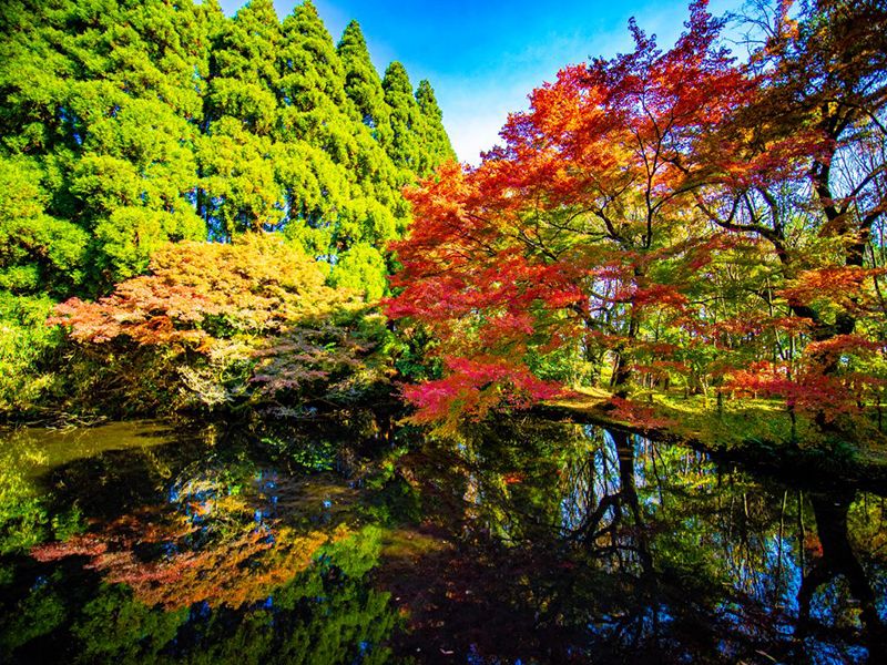 隼鷹天満宮