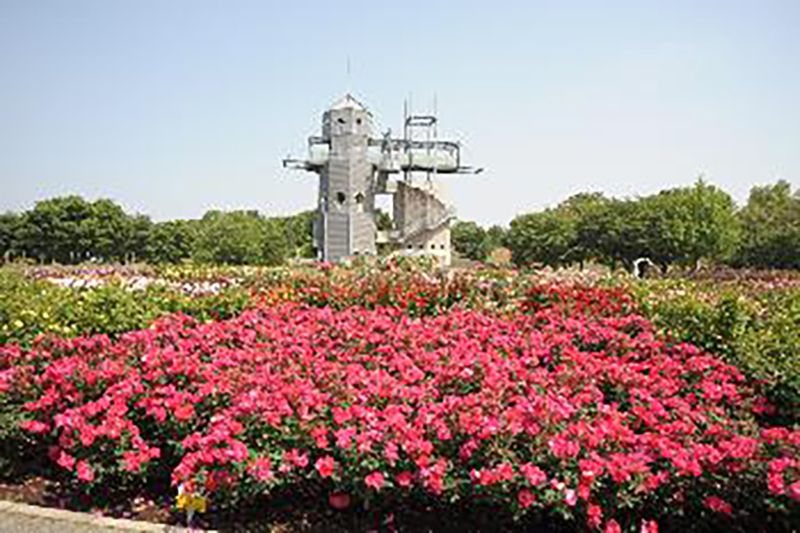 合志市