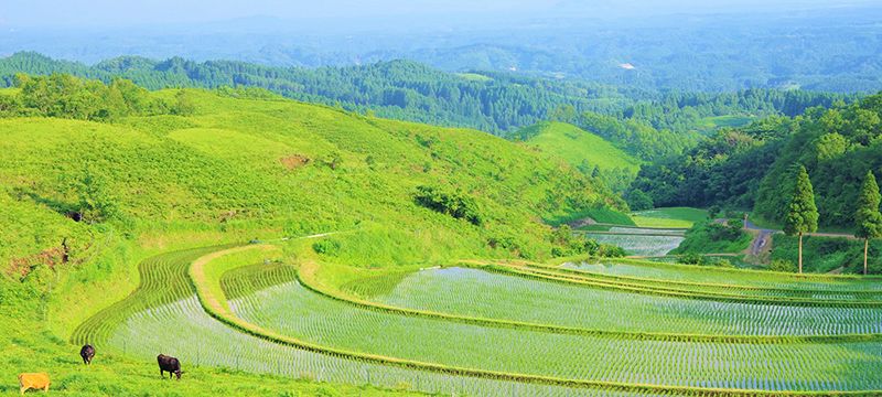産山村