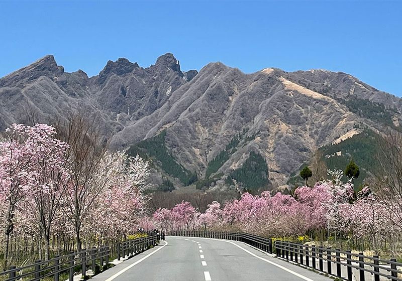 高森町
