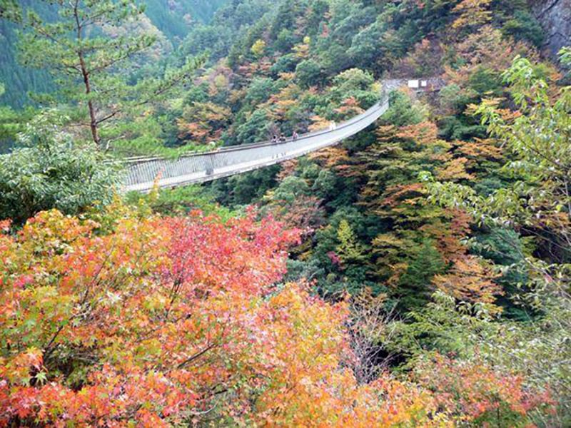 梅の木轟公園吊橋