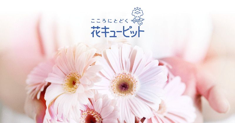 フローリスト高野 Florist -TAKANO-