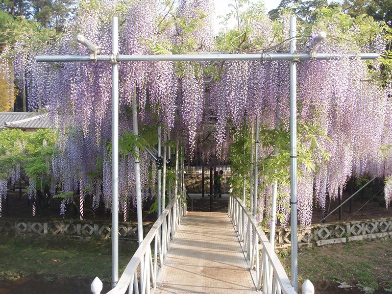西寒多神社