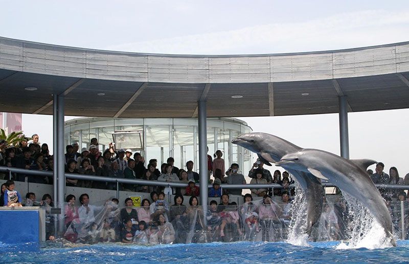 大分マリーンパレス水族館 うみたまご