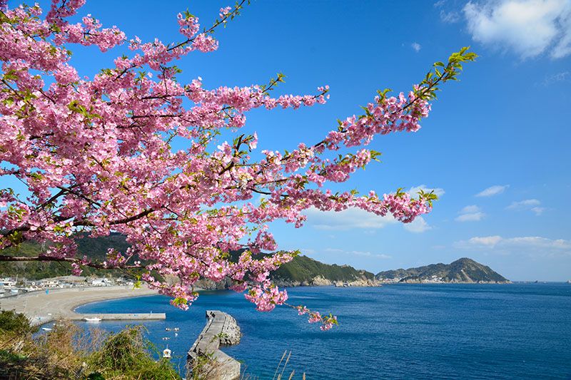 四浦半島