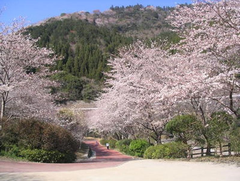 青江ダム公園