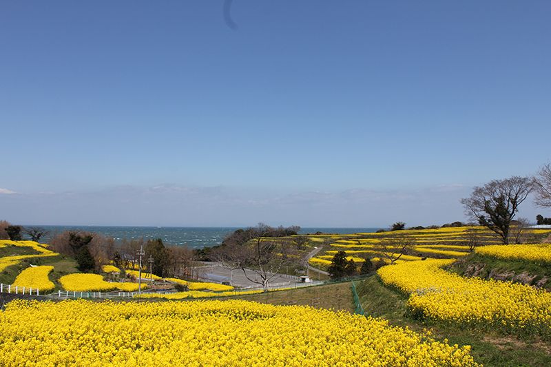 長崎鼻ビーチリゾート