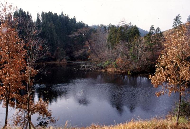 鶴ヶ原の景
