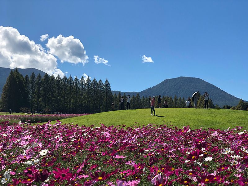 小林市