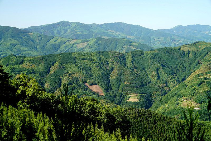 諸塚村