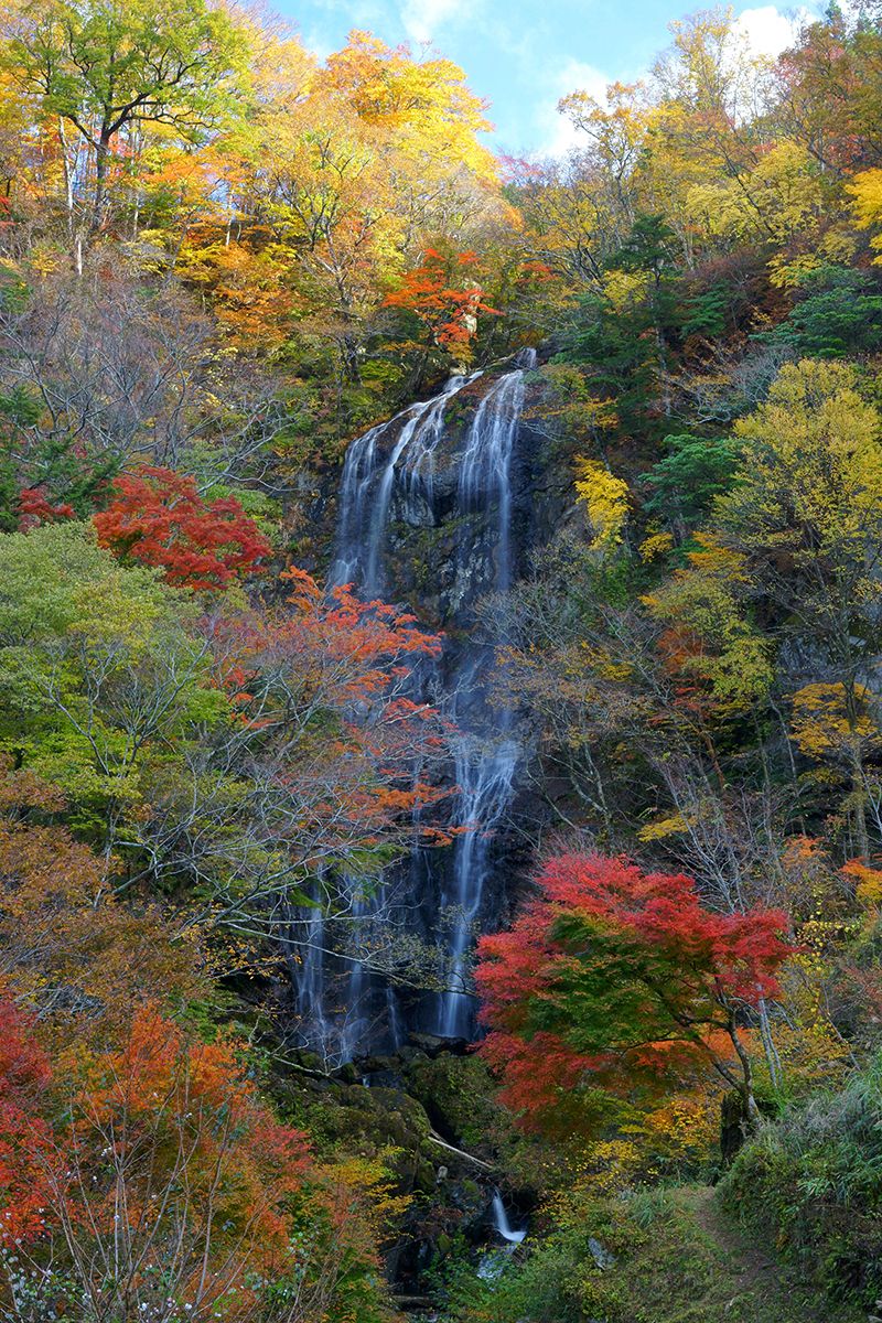 白滝
