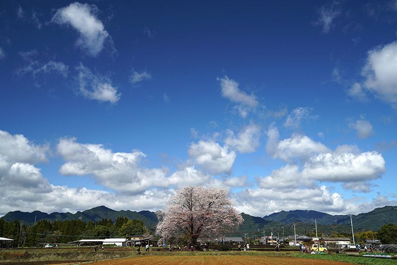 国富町