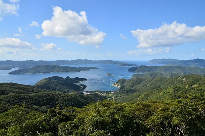 奄美大島