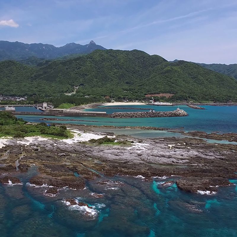 塚崎タイドプール