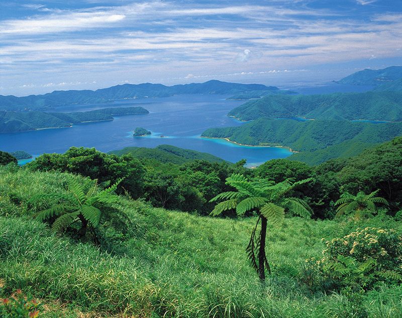 大島海峡