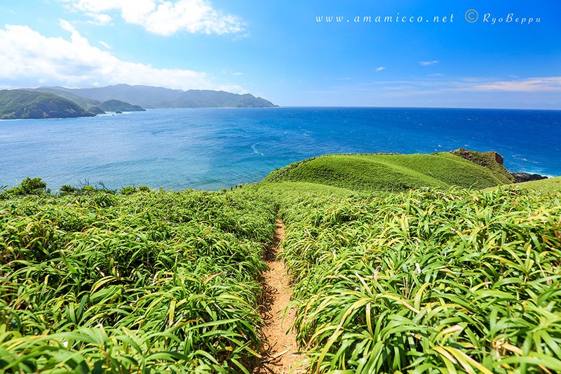 宮古崎ササント
